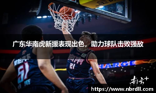 广东华南虎新援表现出色，助力球队击败强敌